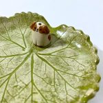 porta-incienso-joyas-perro-500×500-2