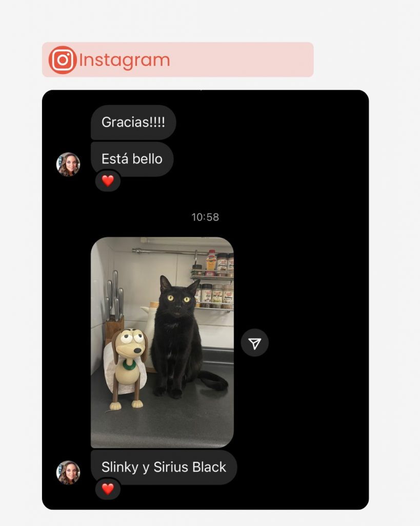 cliente IG slinky