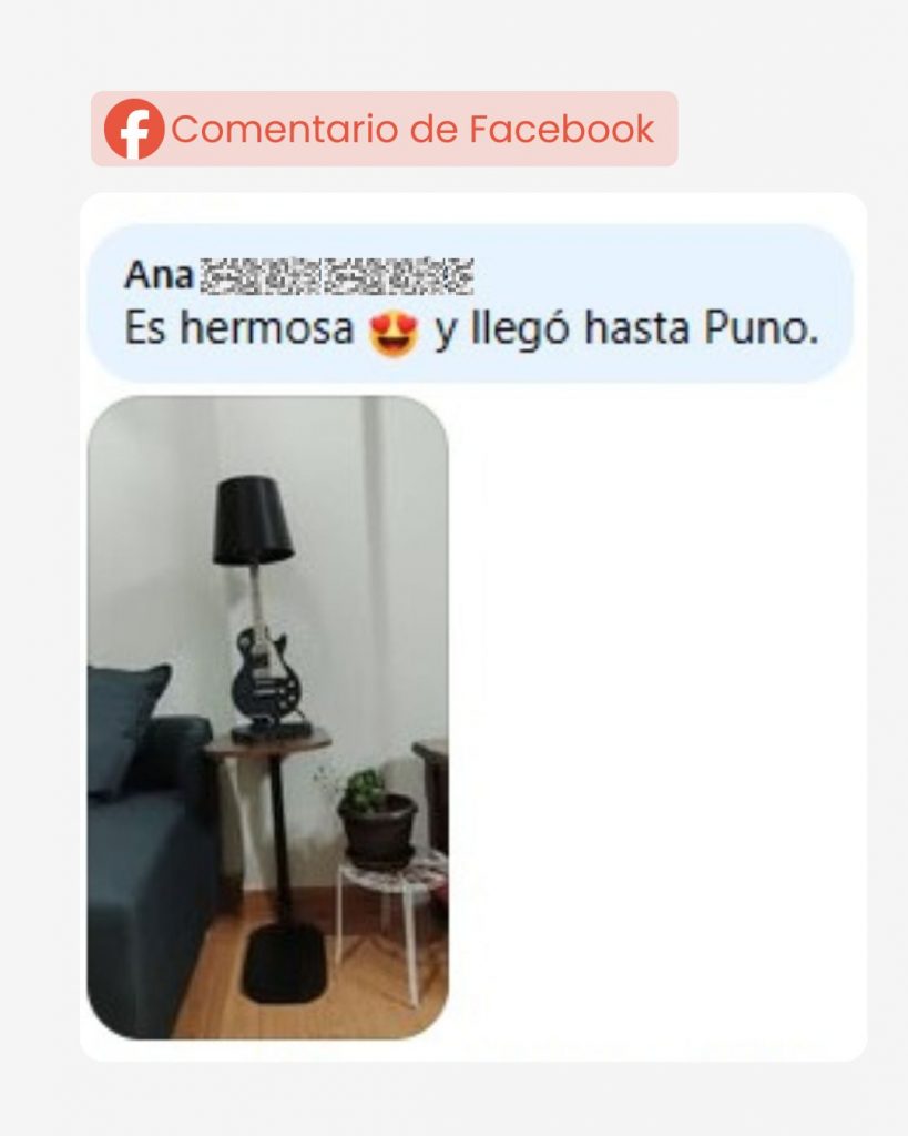 cliente puno v2