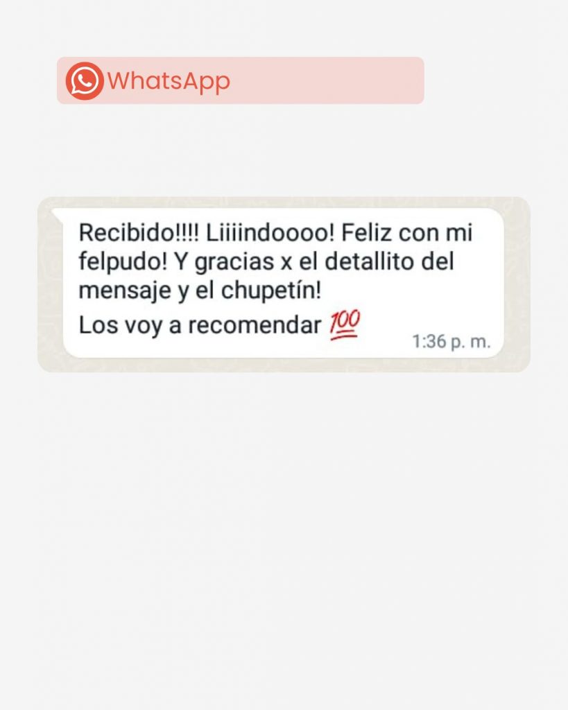 cliente whatsapp 2